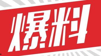 独家爆料素材,震惊内幕,揭秘某事件背后惊人真相!